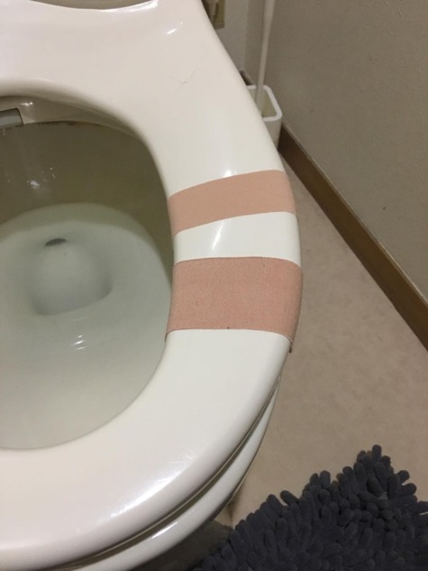 Broken toilet seat