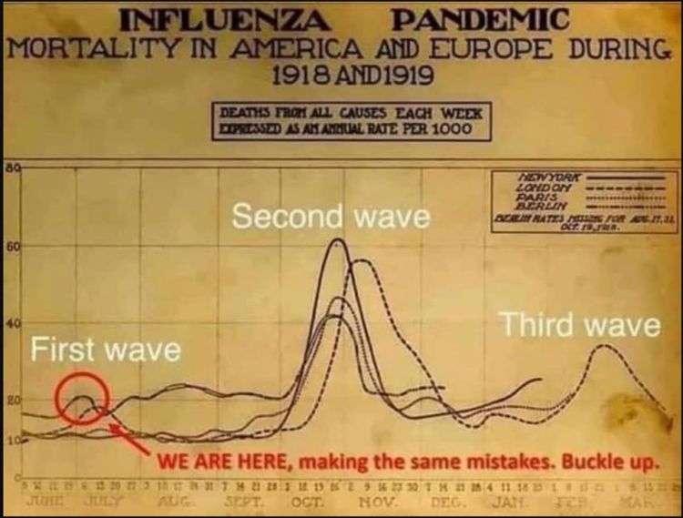 pandemic wave